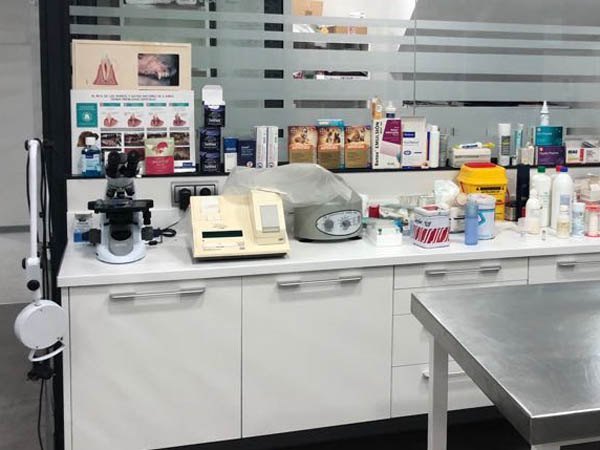 veterinarios en medina sidonia laboratorio para analiticas